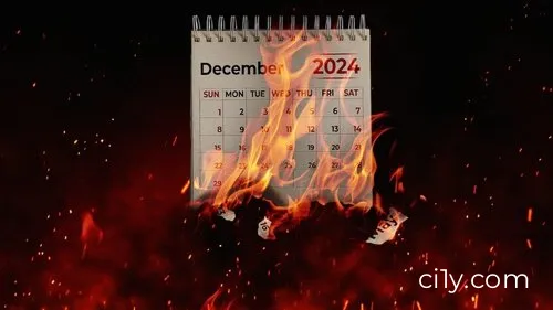 Torching 2024: A Roast of the Year Movie Ciney