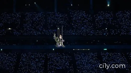 IU CONCERT : THE WINNING Movie Ciney