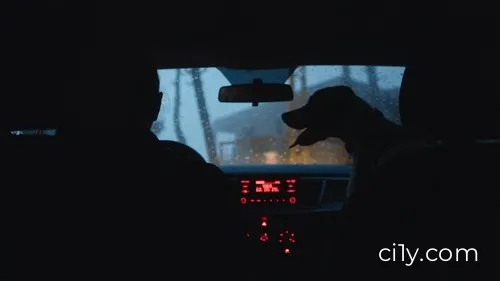 Dead Dog Movie Ciney