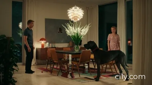 Peacock Movie Ciney